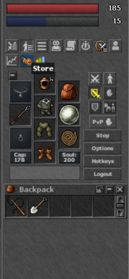 Health and Mana Bars